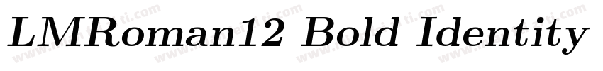 LMRoman12 Bold Identity H字体转换